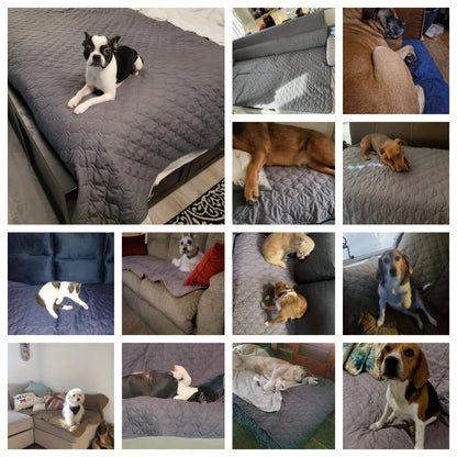 Double-Sided Waterproof Dog Bed Cover Pet Blanket Sofa Couch Furniture Protector for Dogs